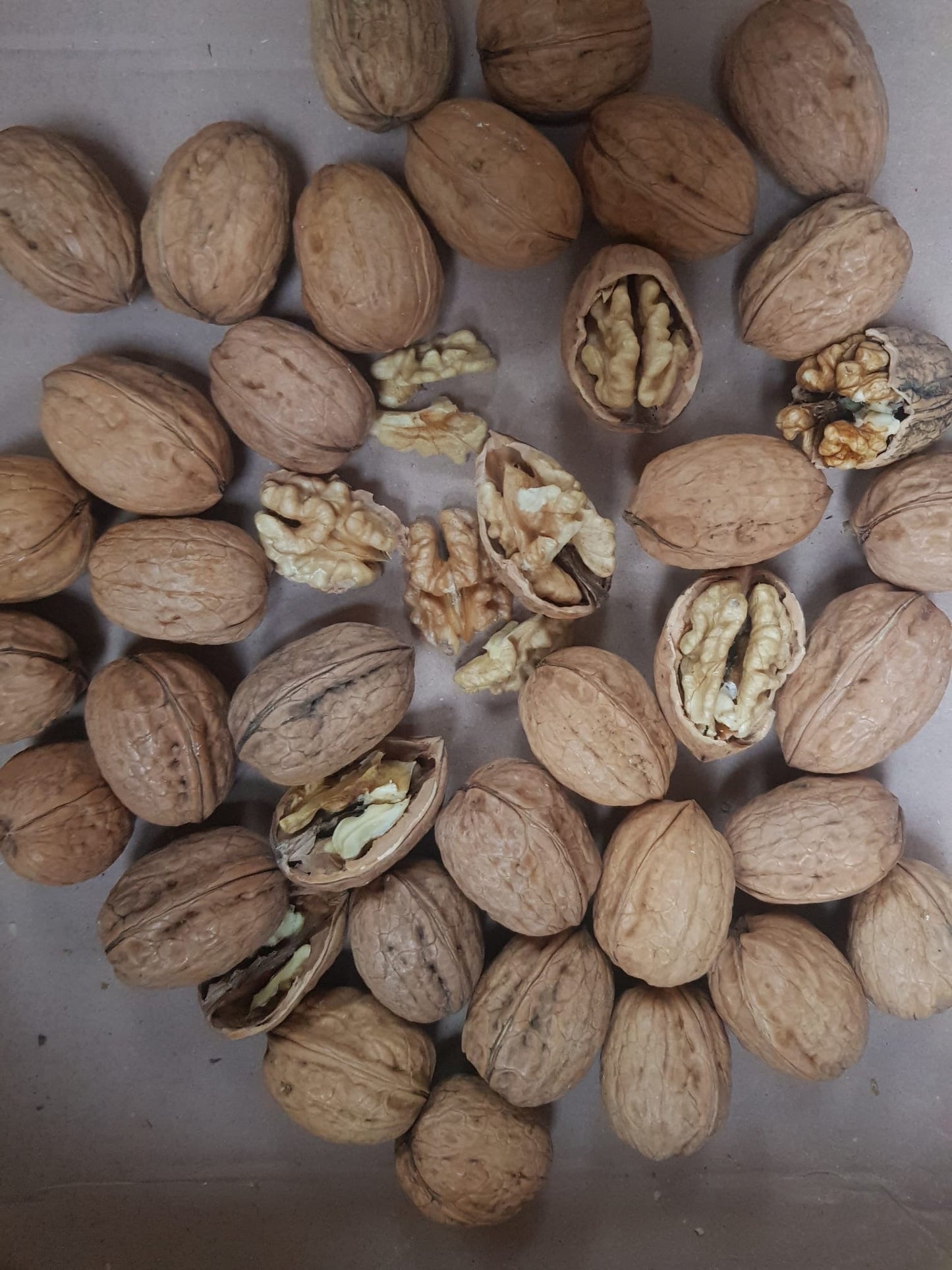İNCE KABUKLU GRENOBLE CEVİZi 5 KG