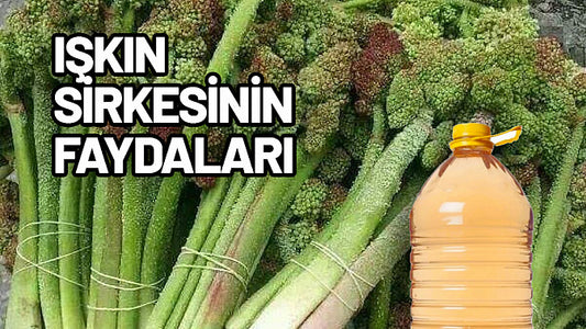 IŞGIN KÖKÜ SİRKESİ 500 ML
