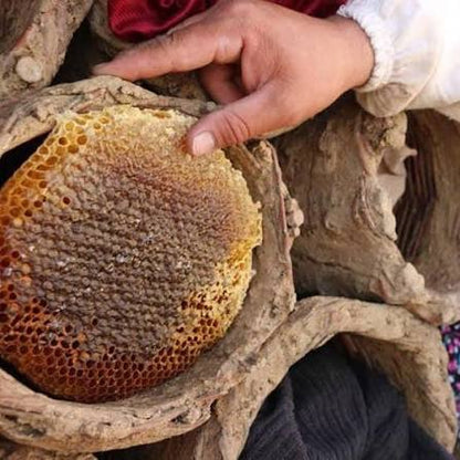 SİİRT PERVARİ KARAVAN PETEK BALI BÜYÜK BOY