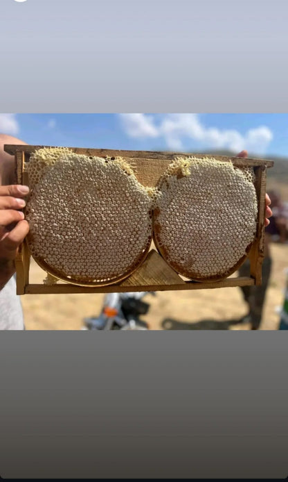 SİİRT PERVARİ KARAVAN PETEK BALI BÜYÜK BOY