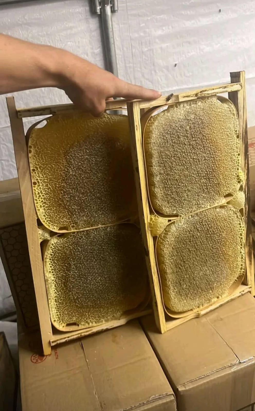 SİİRT PERVARİ KARAKOVAN PETEK BAL ORTA BOY