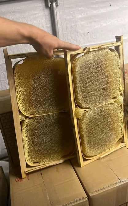 SİİRT PERVARİ KARAVAN PETEK BALI BÜYÜK BOY